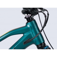 LAPIERRE Overvolt TR 5.6 (2021)