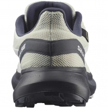 SALOMON Hypulse GTX W lunar rock/ebony/white