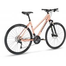 STEVENS 6X Lady (2022)