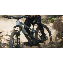 ORBEA WILD M20 (2023), halo silver/tanzanite carbon view