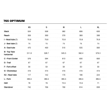 LOOK 765 Optimum (2023) Chameleon, Campagnolo Chorus