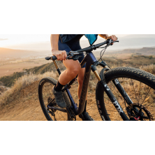 ORBEA OIZ M-TEAM XTR (2024), tanzanite carbon view/carbon raw