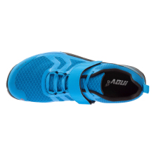 F-LITE 275 (S)