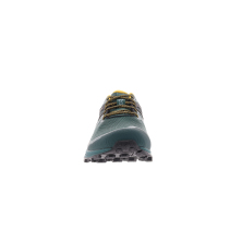 INOV8 ROCLITE 315 GTX v2 M