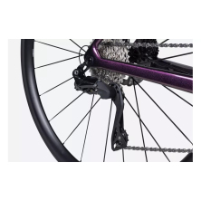LAPIERRE Xelius SL 5.0 Di2 (2024) Luxy Blackberry