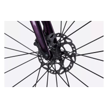LAPIERRE Xelius SL 5.0 Di2 (2024) Luxy Blackberry