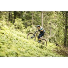 STEVENS E-Maverick AM 7.4.3 (2025) Light Olive