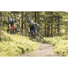 STEVENS E-Maverick AM 7.4.3 (2025) Light Olive