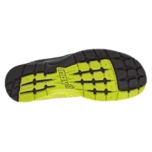F-LITE 235 (S)