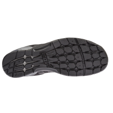 F-LITE 235 V2 (S)