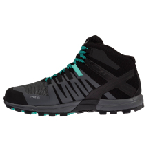 ROCLITE 320 GTX (M)