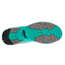 TRAILROC 270 (M)