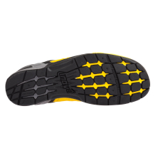 F-LITE 290 (S)