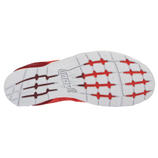 F-LITE 235 V2 (S)