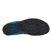F-LITE 235 V2 (S)