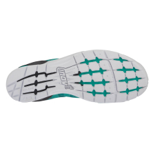 F-LITE 235 V2 (S)