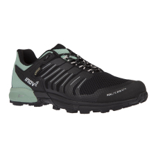 ROCLITE 315 GTX (M)