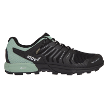 ROCLITE 315 GTX (M)
