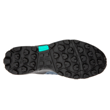 INOV-8 ROCLITE 315 GTX W