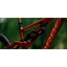 ORBEA RALLON M-TEAM (2024), forest green carbon view/blue stone