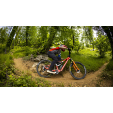 ORBEA RALLON M-TEAM (2024), forest green carbon view/blue stone
