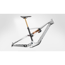 ORBEA RALLON M-TEAM (2024), forest green carbon view/blue stone