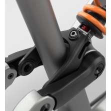 ORBEA RALLON M-TEAM (2024), forest green carbon view/blue stone