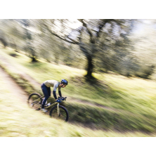 STEVENS Camino AXS (2025) Light Olive