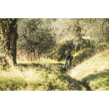 STEVENS Camino AXS (2025) Light Olive