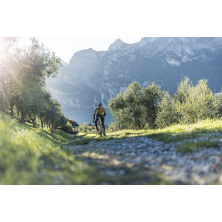 STEVENS Camino AXS (2025) Light Olive