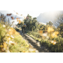 STEVENS Camino AXS (2025) Light Olive