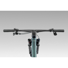 ORBEA ALMA M LTD (2025), seaweed carbon view