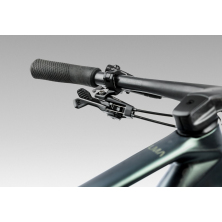 ORBEA ALMA M LTD (2025), seaweed carbon view