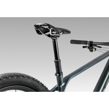 ORBEA ALMA M LTD (2025), seaweed carbon view