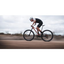 ORBEA ALMA M LTD (2025), seaweed carbon view