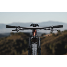 ORBEA ALMA M LTD (2025), seaweed carbon view