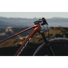ORBEA ALMA M LTD (2025), seaweed carbon view