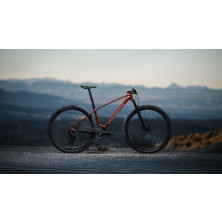 ORBEA ALMA M LTD (2025), seaweed carbon view