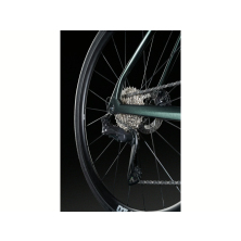 LAPIERRE Pulsium 7.0 (2025) Undergrowth Green