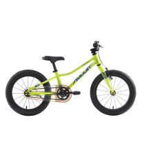 AMULET 16 FUN Light Green/Blue