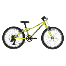 AMULET 20 FUN SH Light Green/Blue