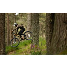 ORBEA LAUFEY H10 Metallic Cinnamon/Black