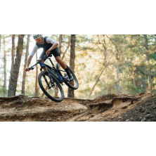 ORBEA OIZ M-TEAM FACTORY Diamond Carbon View/Cherry Red