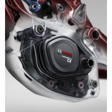 ORBEA WILD ST H20 Halo Silver Gloss