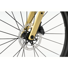 GHOST Asket CF LTD Honey Gold/Berry Blush Matt