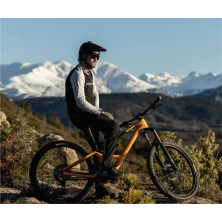 ORBEA RISE LT M-TEAM 630Wh Cosmic Carbon View/Golden Sand