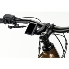 GHOST E-ASX Advanced Low Brown Bear/Stone Glossy