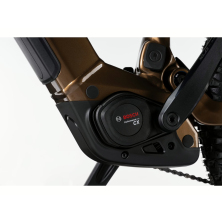 GHOST E-ASX Advanced Brown Bear/Stone Glossy