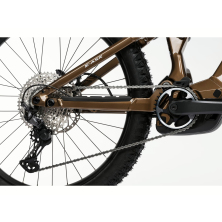 GHOST E-ASX Advanced Brown Bear/Stone Glossy