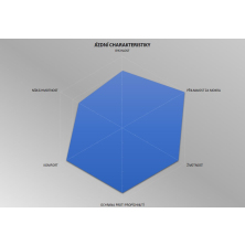 plášť PIRELLI P Zero Race 4S 28-622, černý